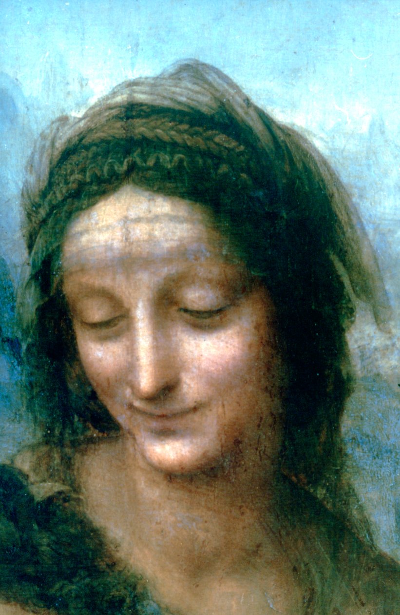 Aziz Anne detaylı Bakire ve Çocuk, 1502-1516 by Leonardo da Vinci