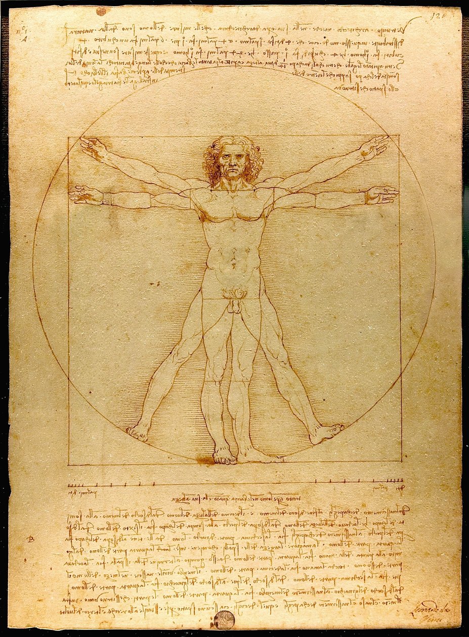  by Leonardo da Vinci
