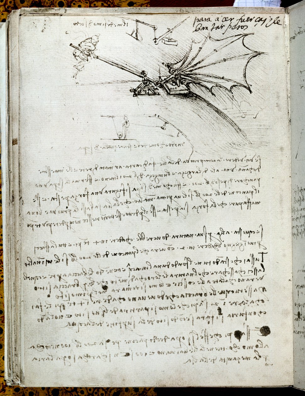 Kanat eğitimi. Uçan makine çizimi. Leonard De Vinci