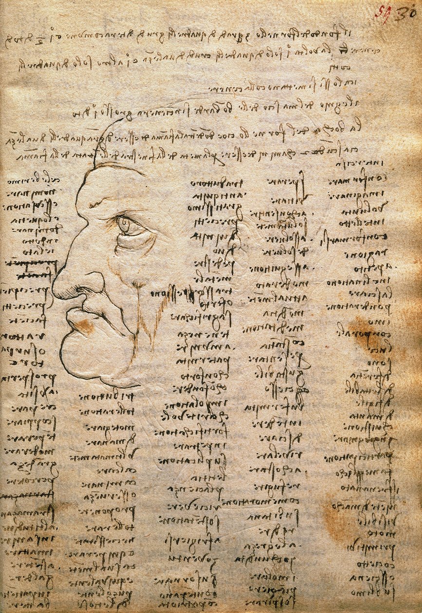 Codex Trivulzianus'tan kelime listesi ve erkek profili by Leonardo da Vinci