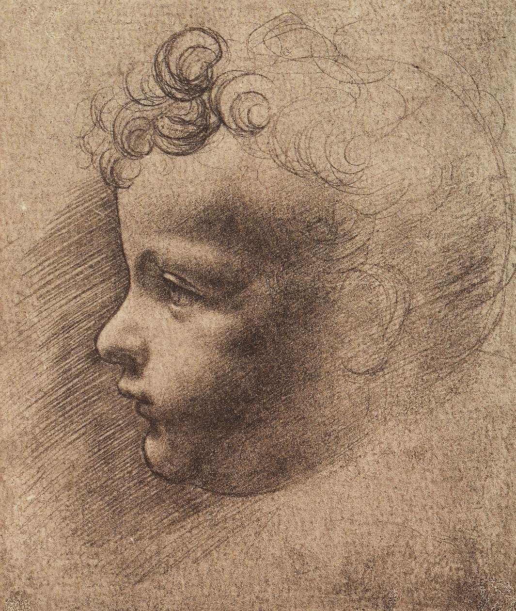 Küçük bir çocuğun başı; Leonardo da Vinci
