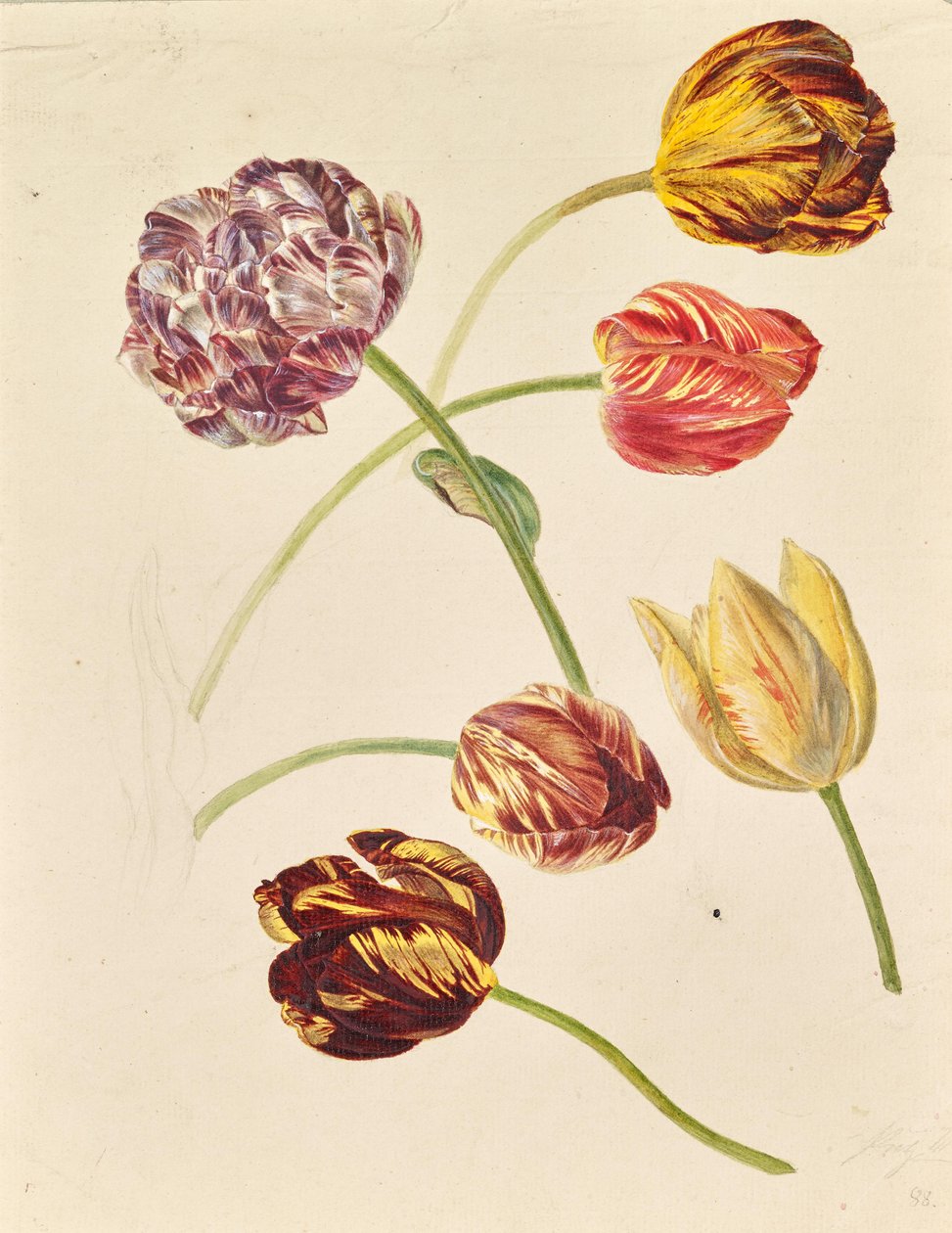  by Leopold von Stoll