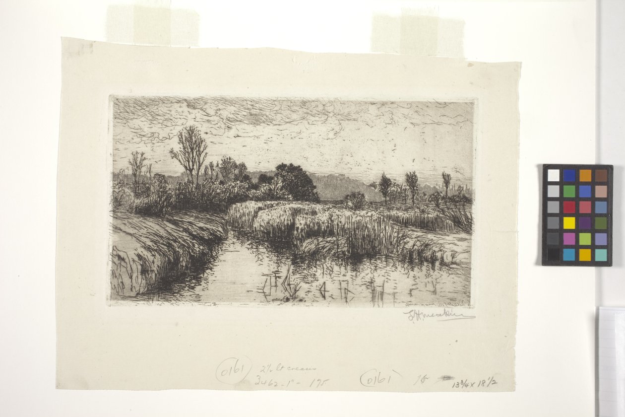 Martta Öğleden Sonra, Schleissheim, Bavyera (gravür) by Lewis Henry Meakin