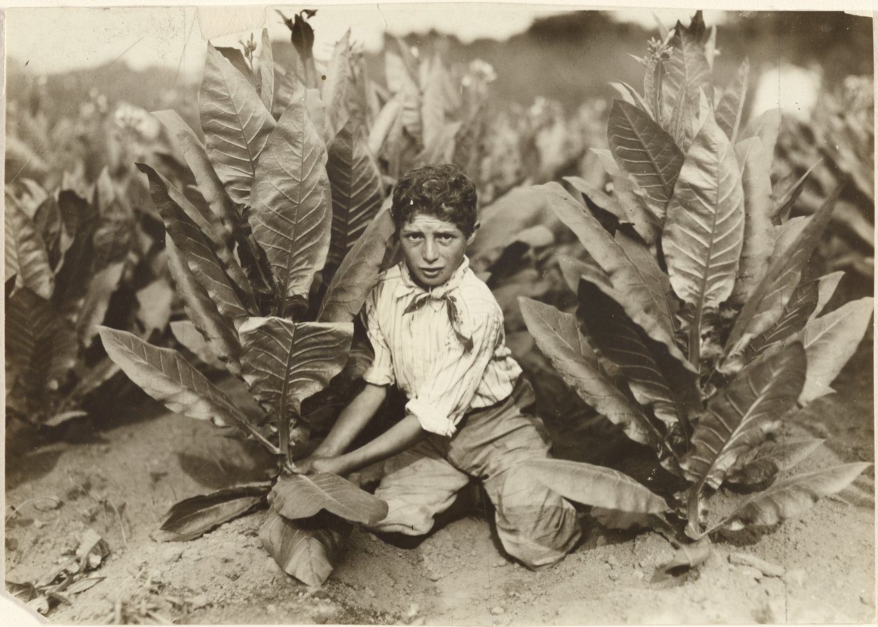 by Lewis W. Hine