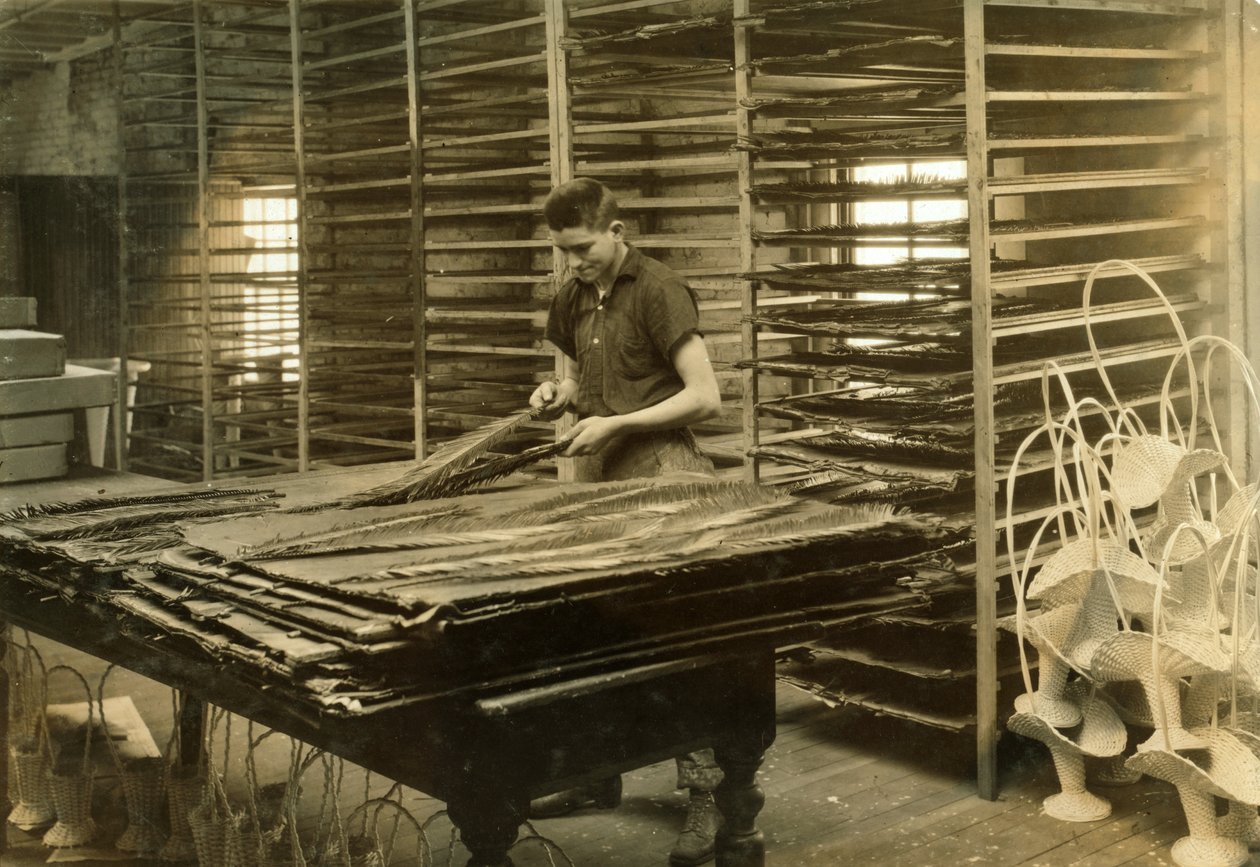  by Lewis Wickes Hine