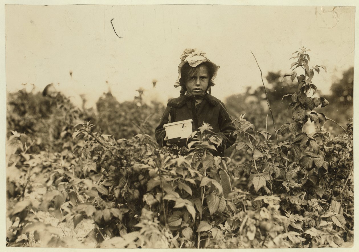 Annie Bissie, Baltimore, Maryland yakınlarındaki tarlalarda böğürtlen toplarken, 1909 by Lewis Wickes Hine