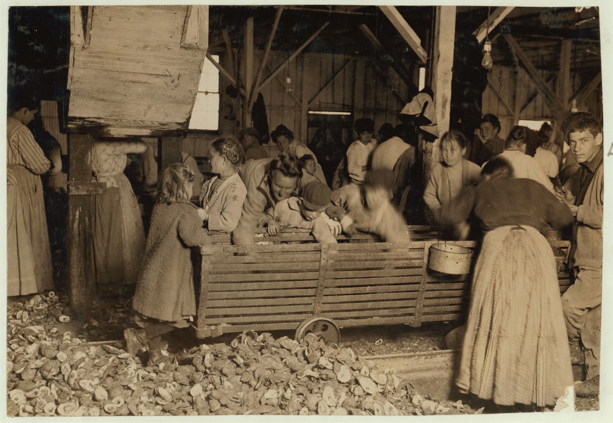 Bill May, aged 5 who makes 15 cents a day, in the shucking shed at Barataria Canning Company, Biloxi, Mississippi, 1911  by Lewis Wickes Hine