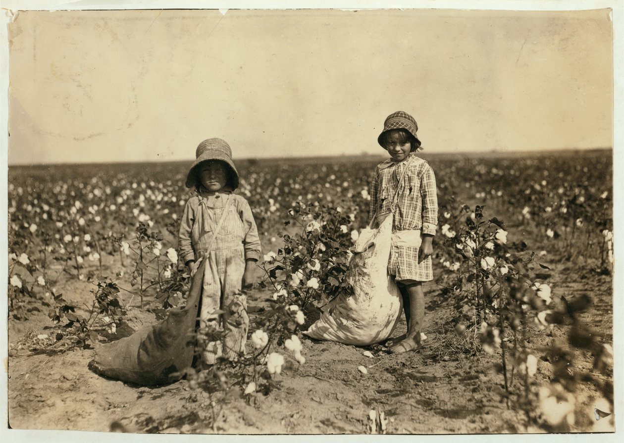 Jewel and Harold Walker, 6 and 5 years old, pick 20 to 25 pounds of cotton a day at Geronimo,Comanche County Oklahoma, 1916  by Lewis Wickes Hine