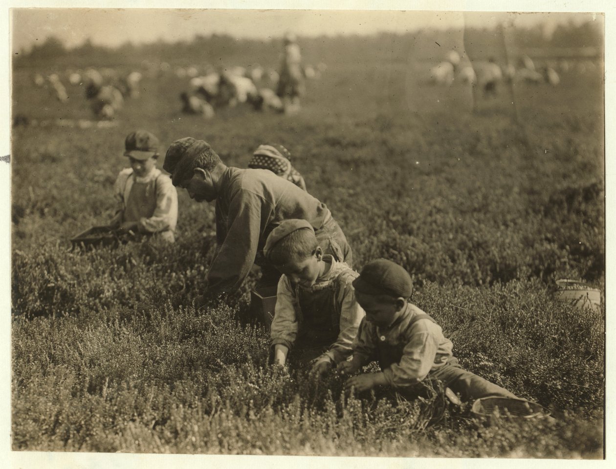Jo Arnao 3, kardeşi 6 ve kız kardeşi 9 ile Whites Bog, Browns Mills, New Jersey