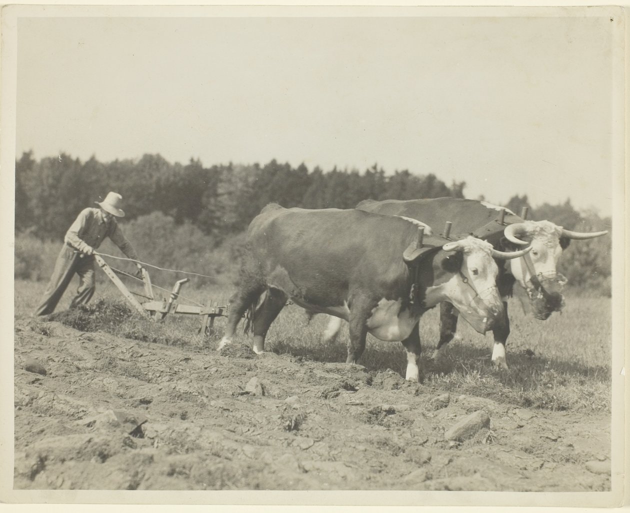  by Lewis Wickes Hine