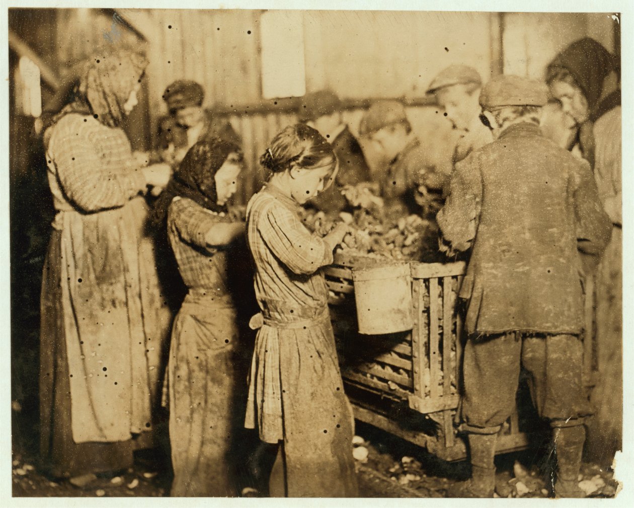 Barn und Platt Canning Company, Yonges Adası, Güney Karolina, 1913 by Lewis Wickes Hine