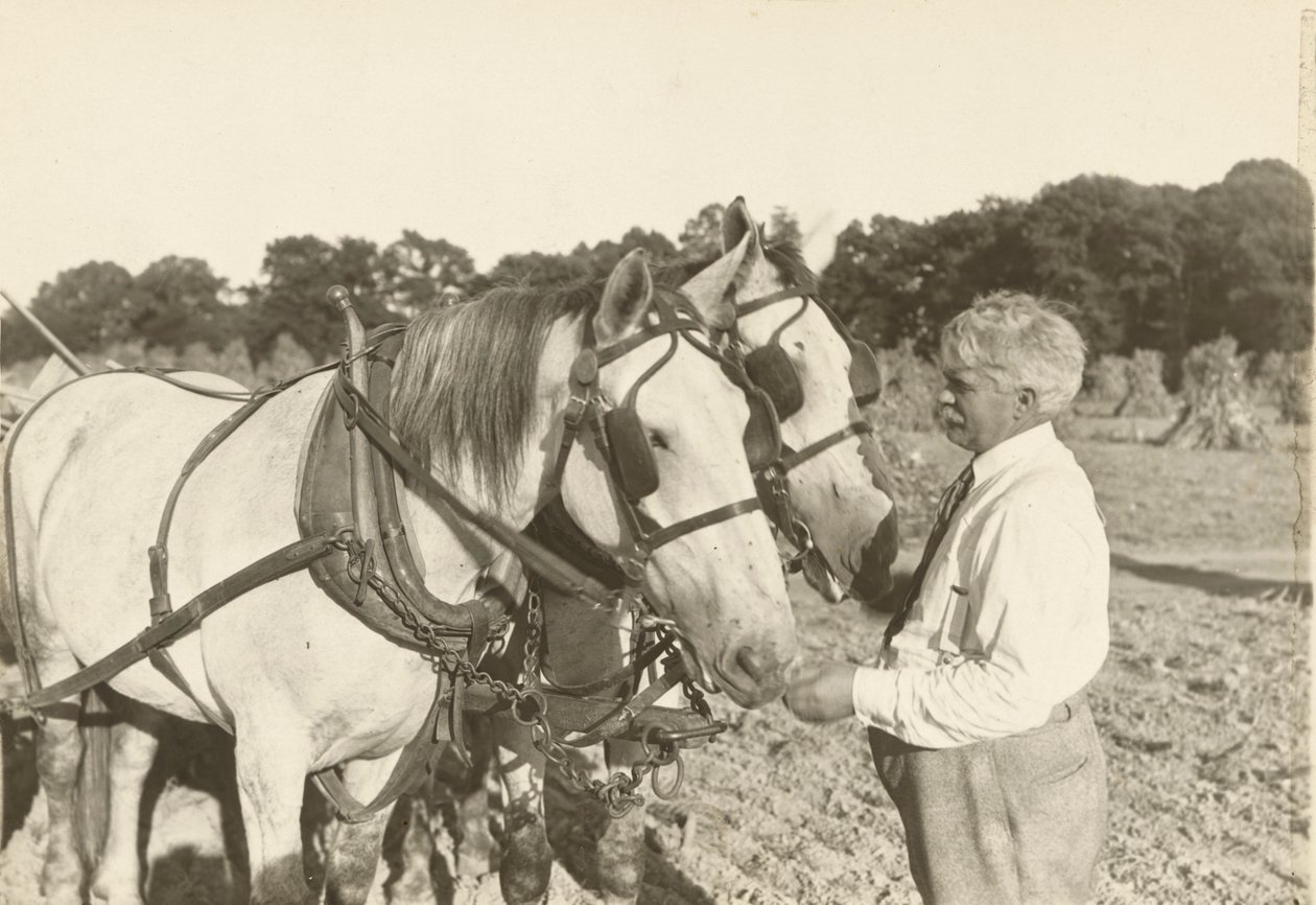 İsimsiz, ca. 1935. by Lewis Wickes Hine