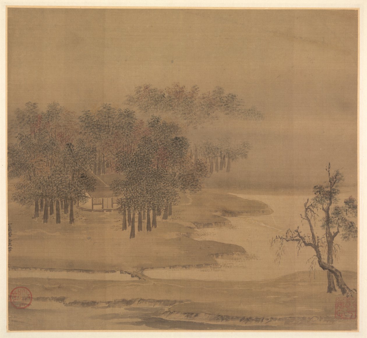 Sonbaharda Misty Grove