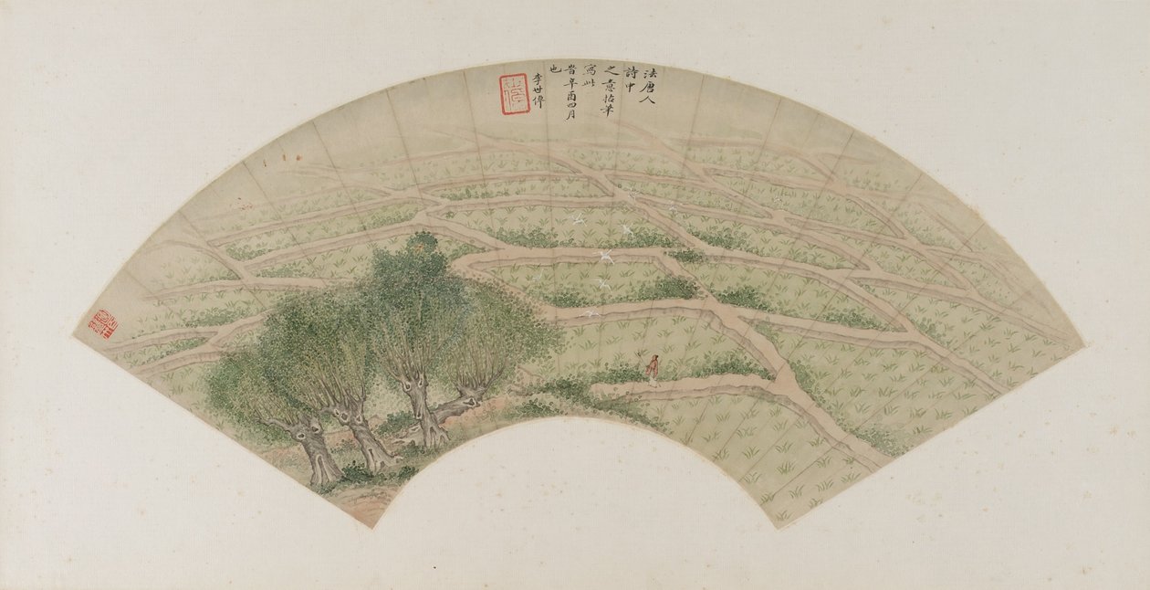 Balıkçıllı pirinç tarlaları, Qing hanedanı, 1741 (kağıt üzerinde mürekkep ve renkli) by Li Shizuo