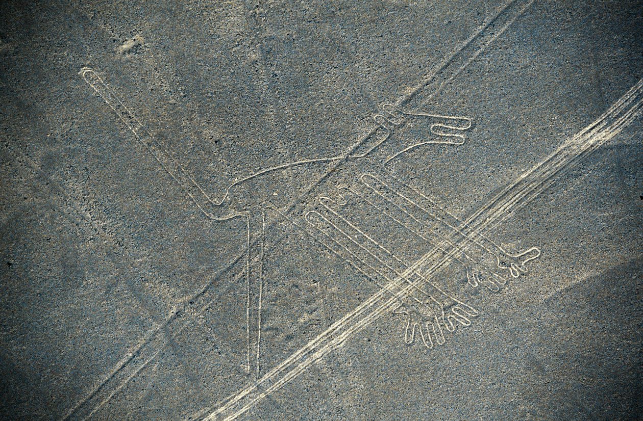 Köpek, Nazca çizgileri, Nazca, Peru, Nazca Uygarlığı (fotoğraf) by Unbekannt Unbekannt
