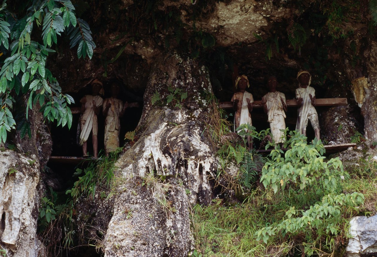 Tau Tau morg figürleriyle cenaze nişleri, Marrante köyü, Tana Toraja, Sulawesi adası, Endonezya by Unbekannt Unbekannt