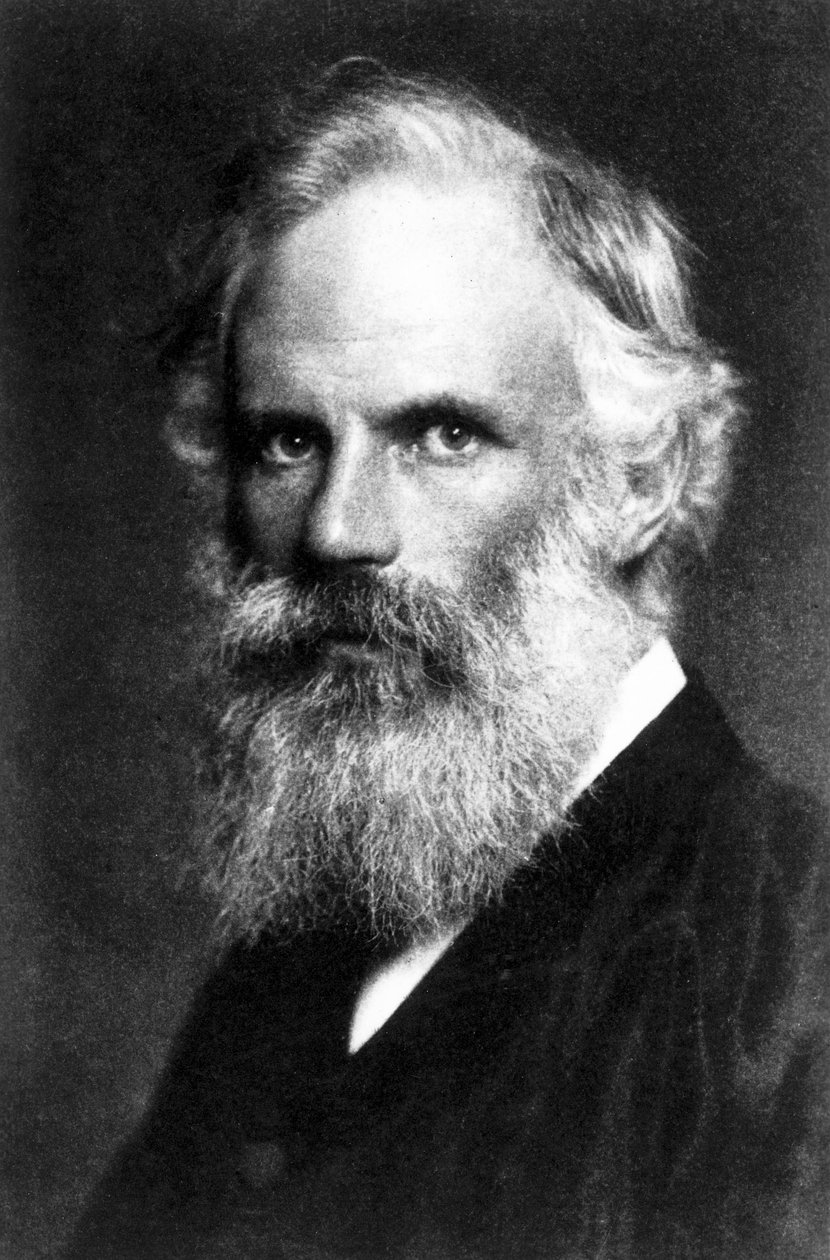 George Fitzgerald, İrlandalı fizikçi, 19. yüzyılın sonlarında by Unbekannt Unbekannt