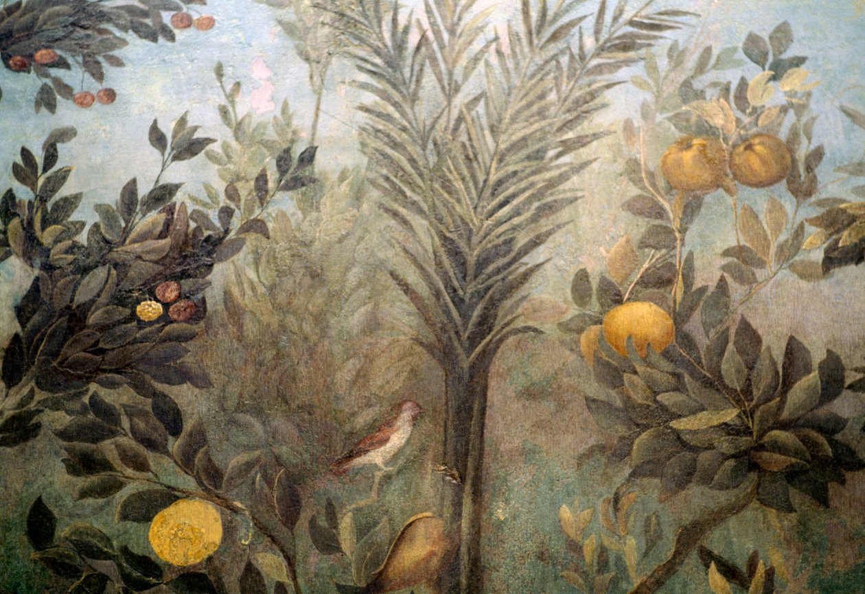 Nar ağacı, meyve ağaçları ve kuşlarla dolu bir bahçeyi betimleyen bir freskten detay, Palatine tepesindeki Livia Evi, Roma, İtalya. Roma uygarlığı by Unbekannt Unbekannt