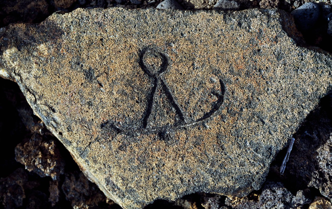 Taş oyma, Puako Petroglyph Arkeoloji Bölgesi, Hawaii Adası, Amerika Birleşik Devletleri by Unbekannt Unbekannt