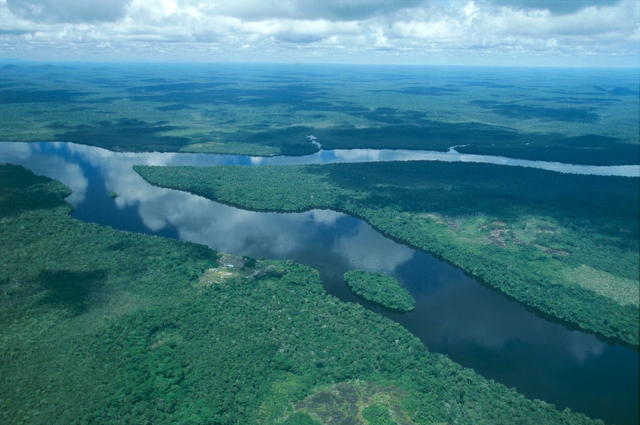 Venezuela, Guayana, Amazonas Eyaleti, Orinoco Nehri, havadan görünüm (Fotoğraf) by Unbekannt Unbekannt