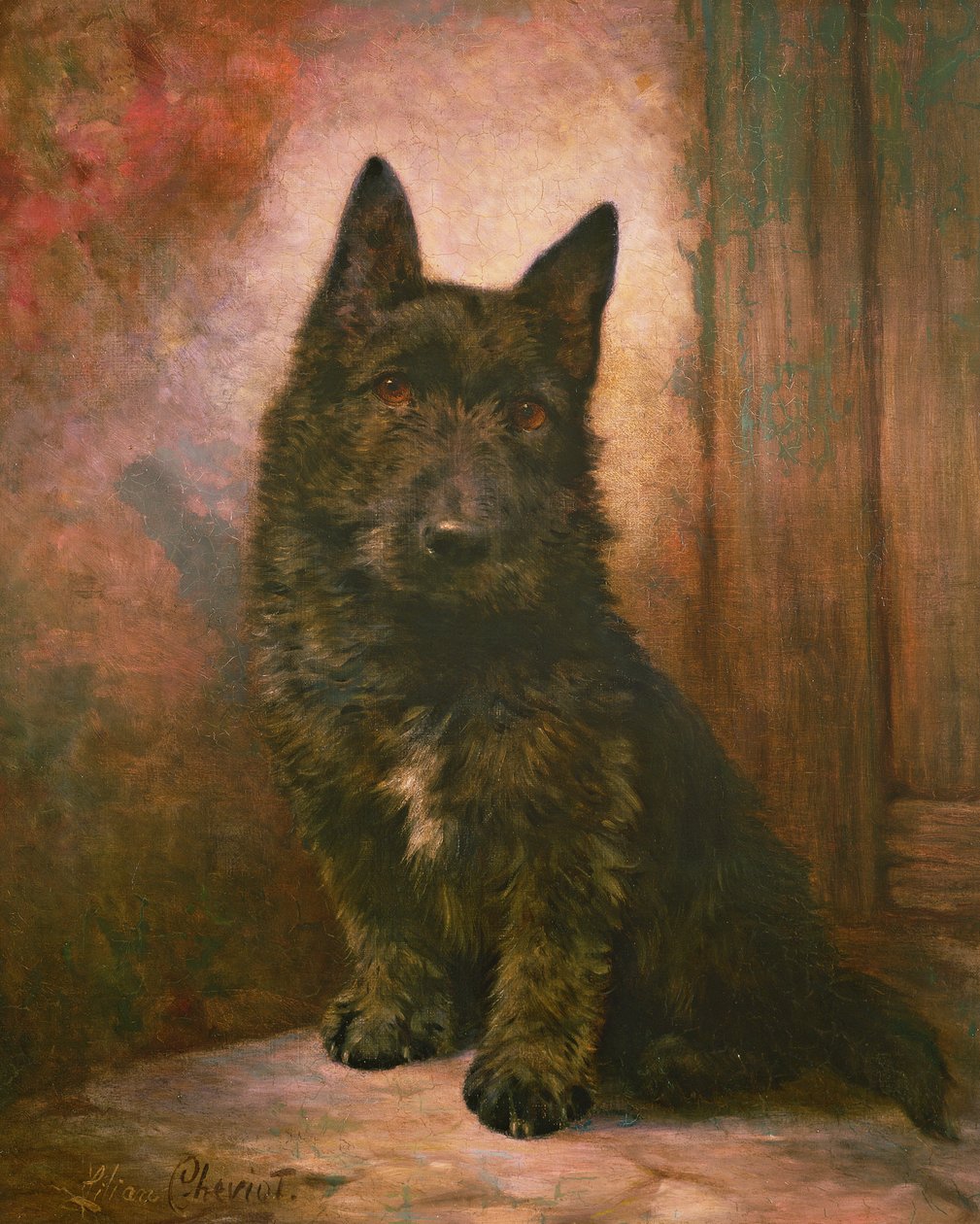 Scottie köpek yavrusu by Lilian Cheviot