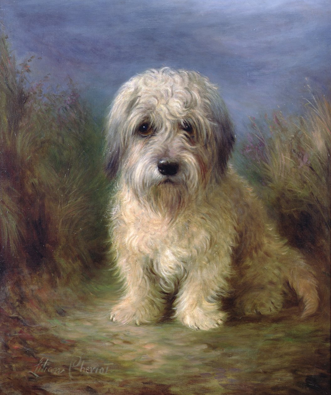 Dandie Dinmont Teriyer (tuval üzerine yağlı boya) by Lilian Cheviot