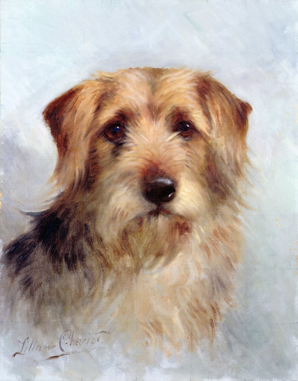 Aileden biri by Lilian Cheviot