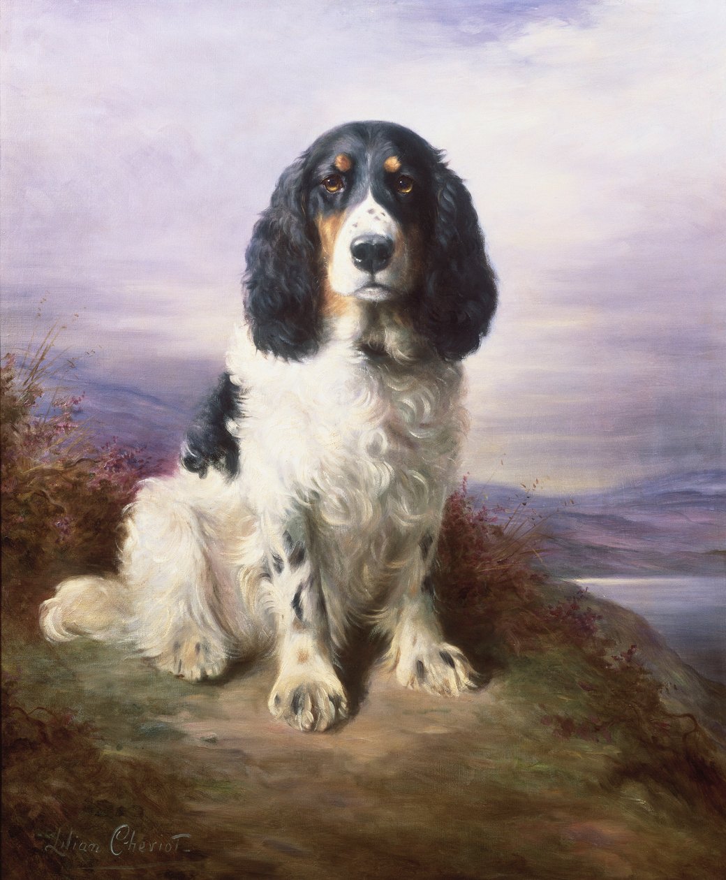 Royal, Üç Renkli Çalışan Springer Spaniel by Lilian Cheviot