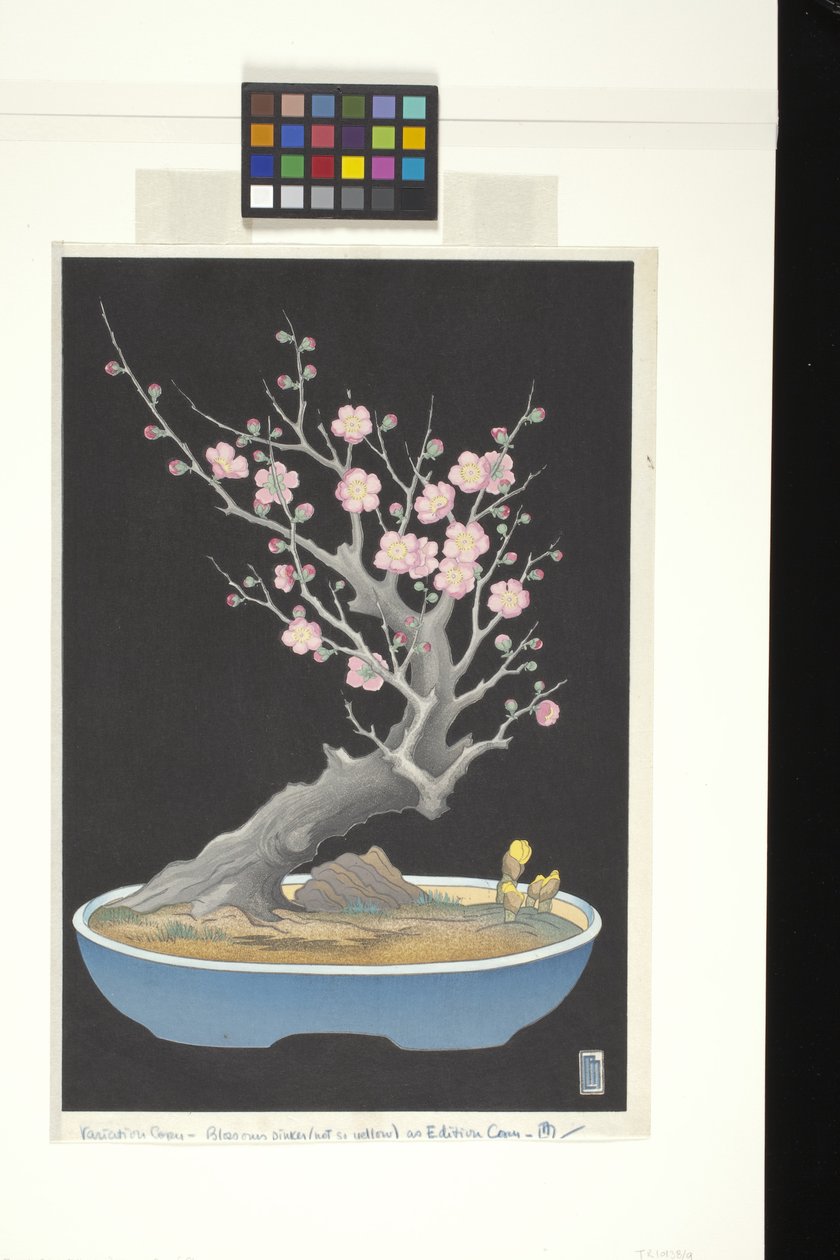 Japon Cüce Erik (renkli tahta baskı) by Lilian May Miller