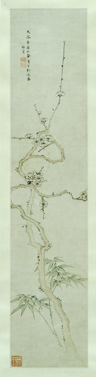 Prunus ve Bambu by Lin Xue