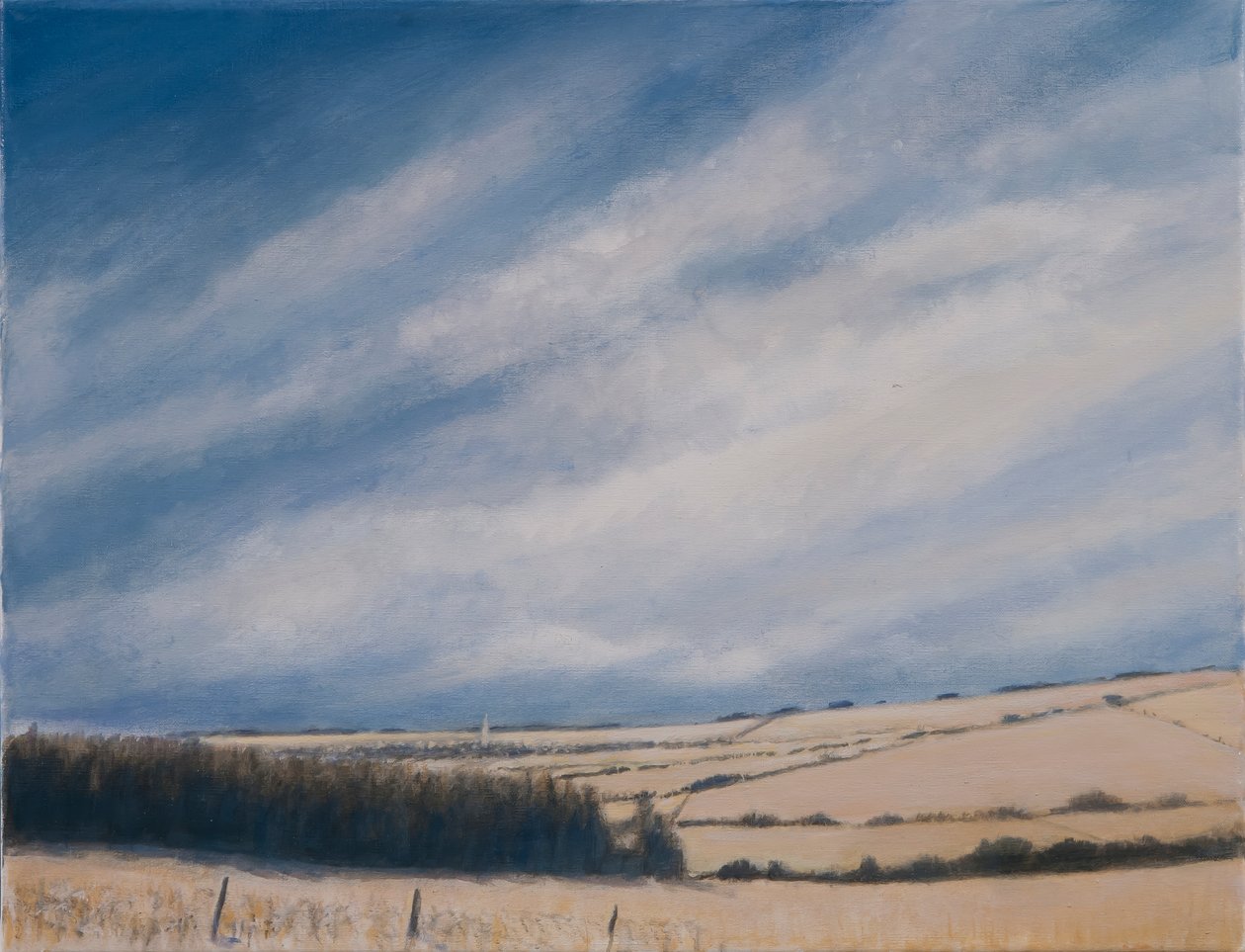 Yaklaşan Burford, 2012 (tuval üzerine akrilik) by Lincoln Seligman