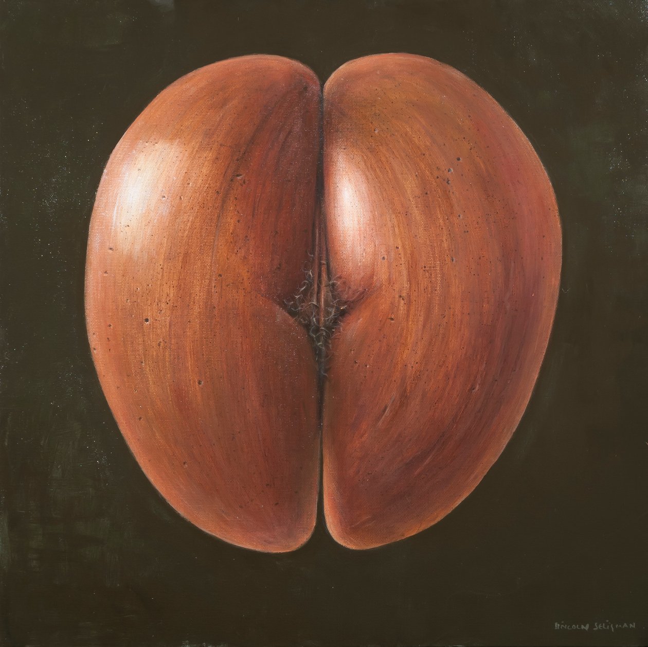 Coco de Mer, Maldivler, 2012 (tuval üzerine akrilik) by Lincoln Seligman