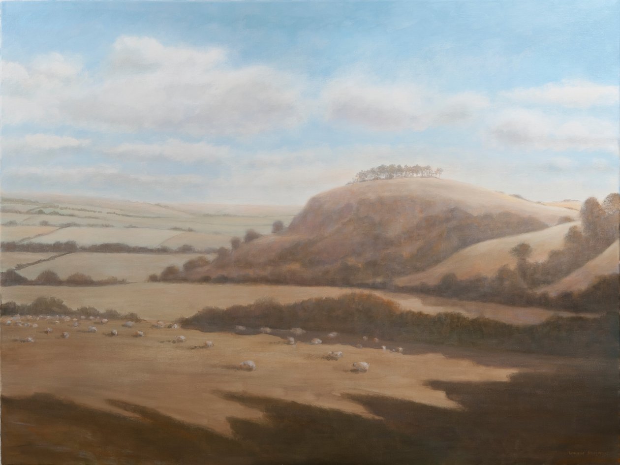 Gloucestershire manzarası, 2012 (tuval üzerine akrilik) by Lincoln Seligman