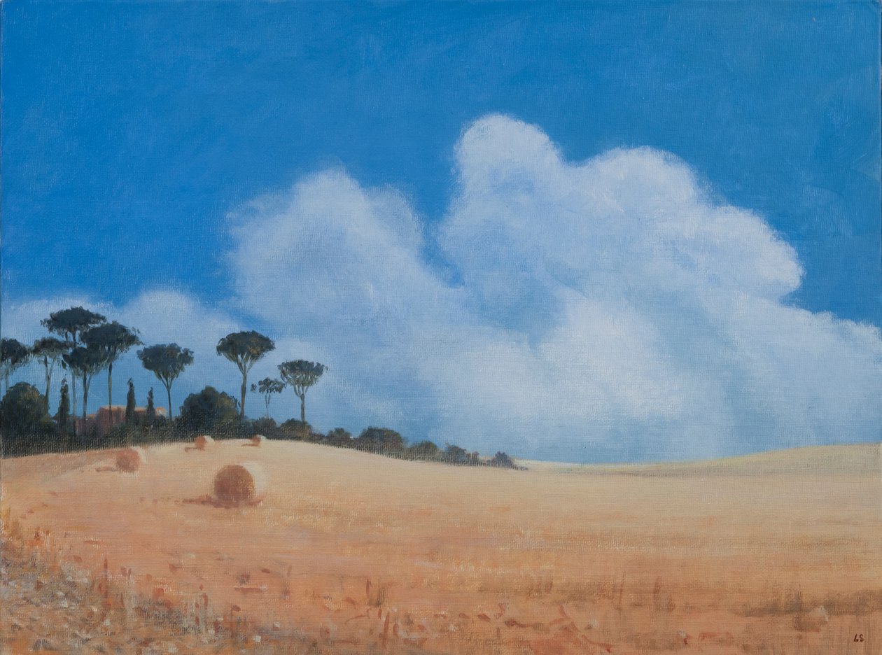Paganico yakınlarında manzara, 2012 (tuval üzerine akrilik) by Lincoln Seligman