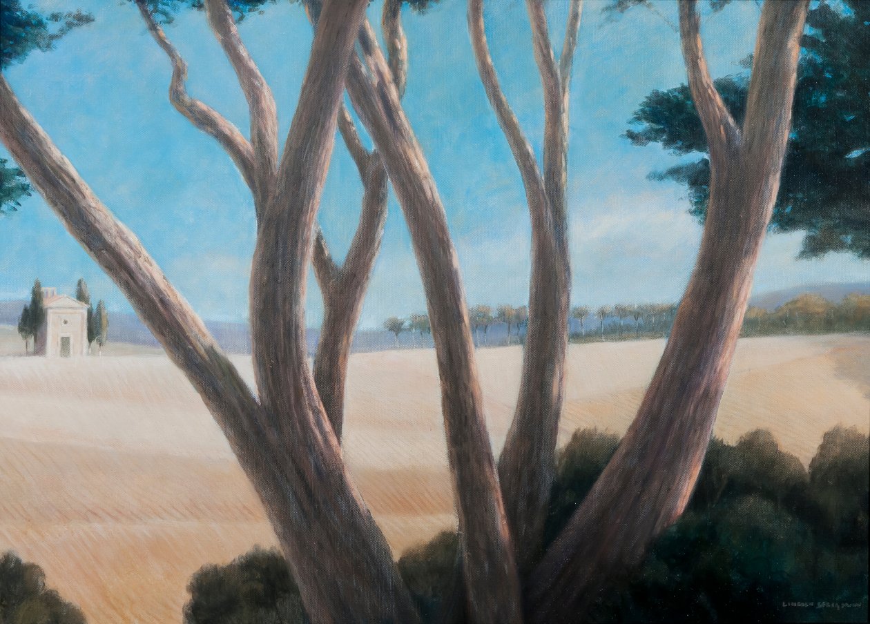 Pienza yakınlarındaki çamlar, 2012 (tuval üzerine akrilik) by Lincoln Seligman