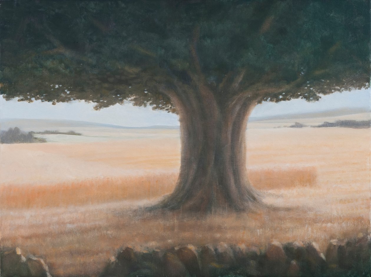 Ağaç, Holwell, 2012 (tuval üzerine akrilik) by Lincoln Seligman