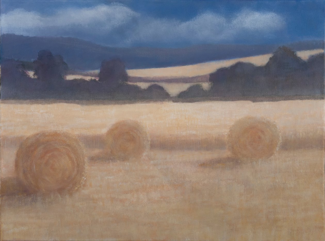İki Saman Balyası, 2012 (tuval üzerine akrilik) by Lincoln Seligman