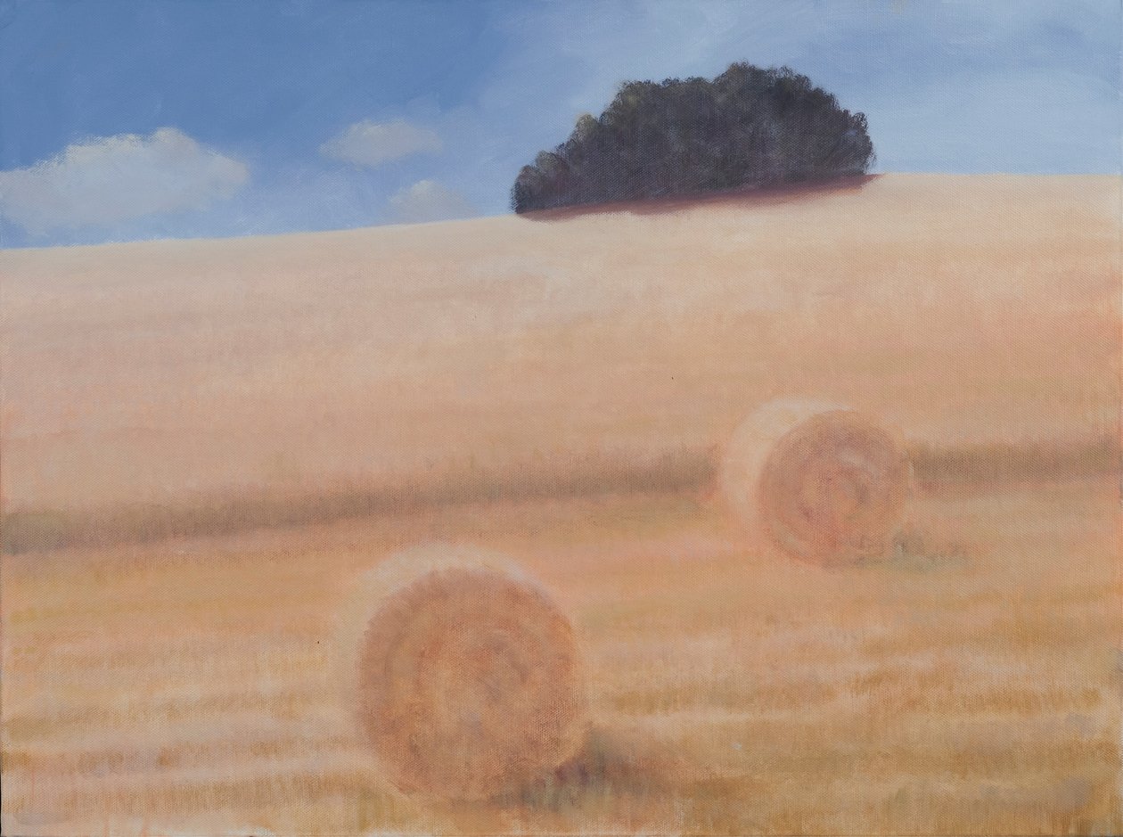 İki Saman Balyası, 2012 (tuval üzerine akrilik) by Lincoln Seligman