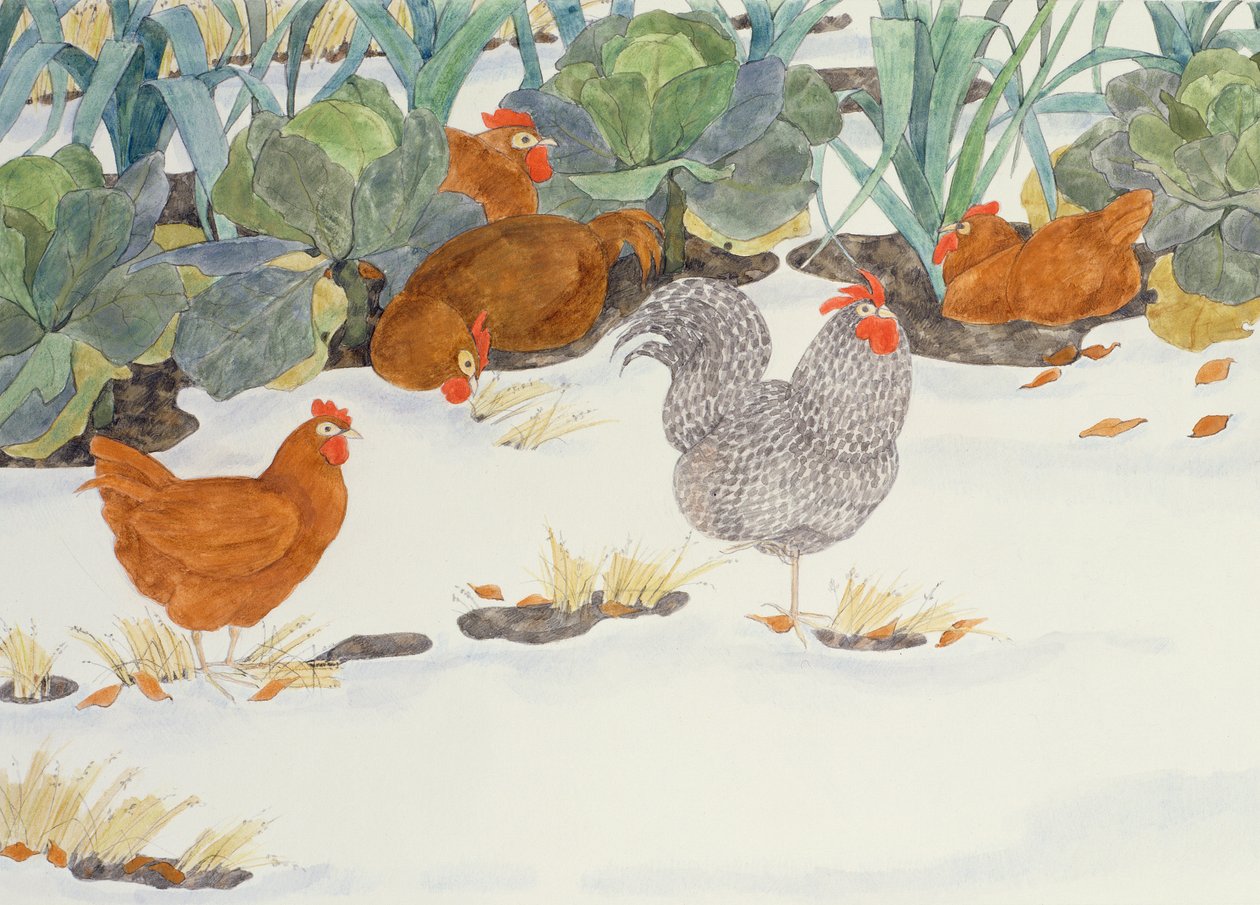 Sebze Tarlasındaki Tavuklar by Linda Benton