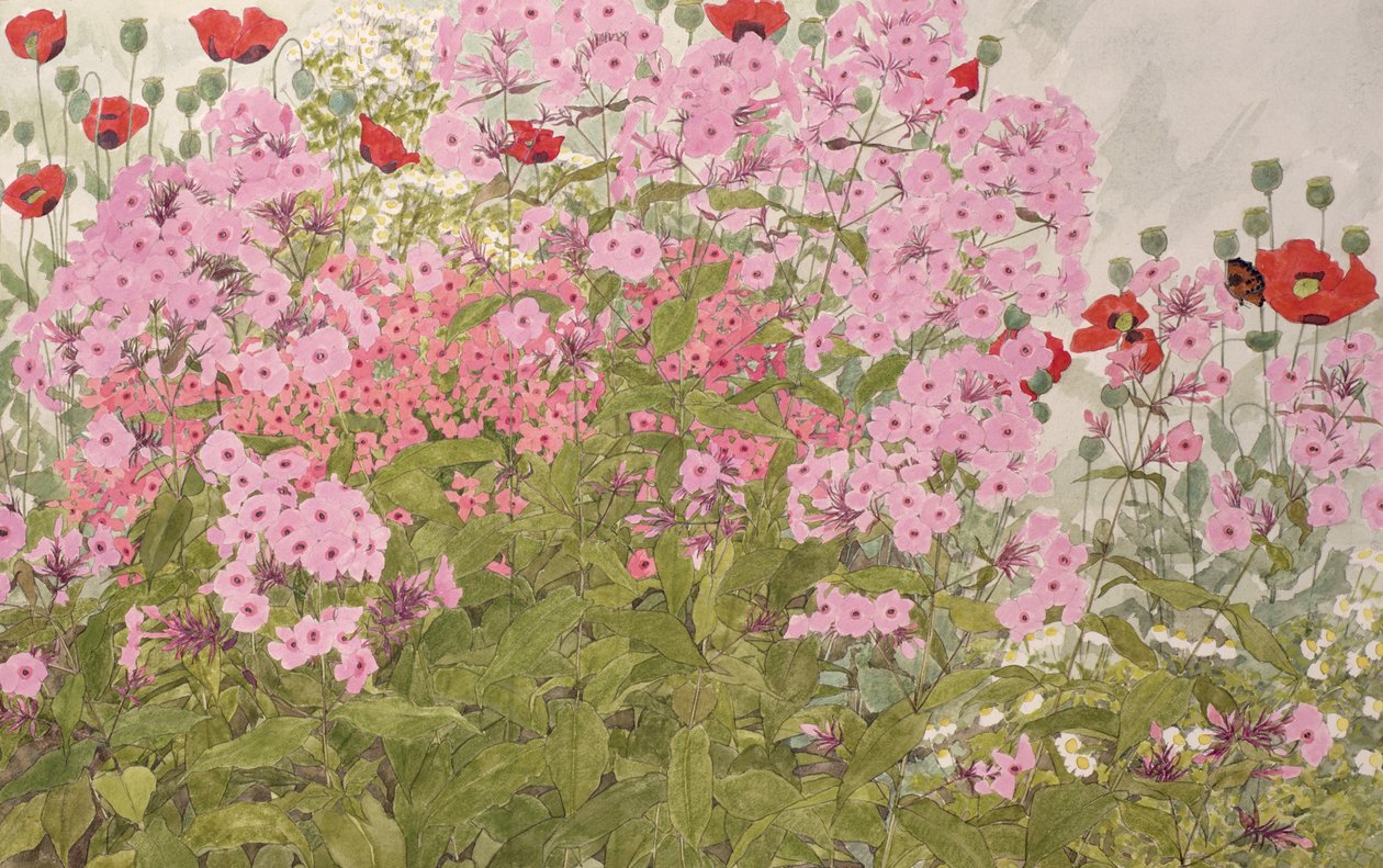Kelebekli Pembe Floksa ve Haşhaş (kağıt üzerinde wc) by Linda Benton