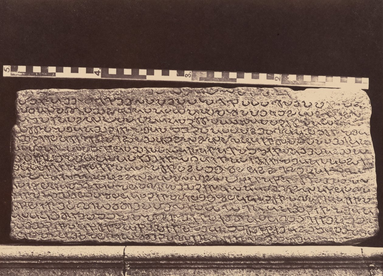 by Linnaeus Tripe