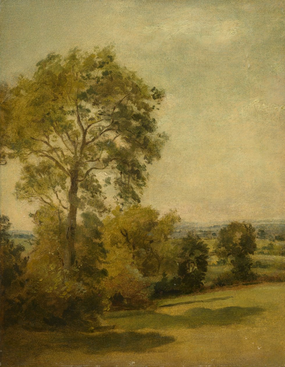 Peyzajdaki Ağaç, 1850 dolayları by Lionel Constable