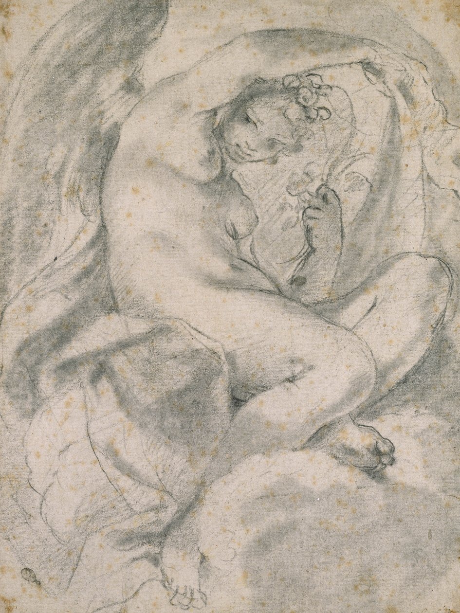 Bulutların ortasında bir Peri (Flora) (beyaz kağıda kütük ile siyah tebeşir) by Lodovico Carracci
