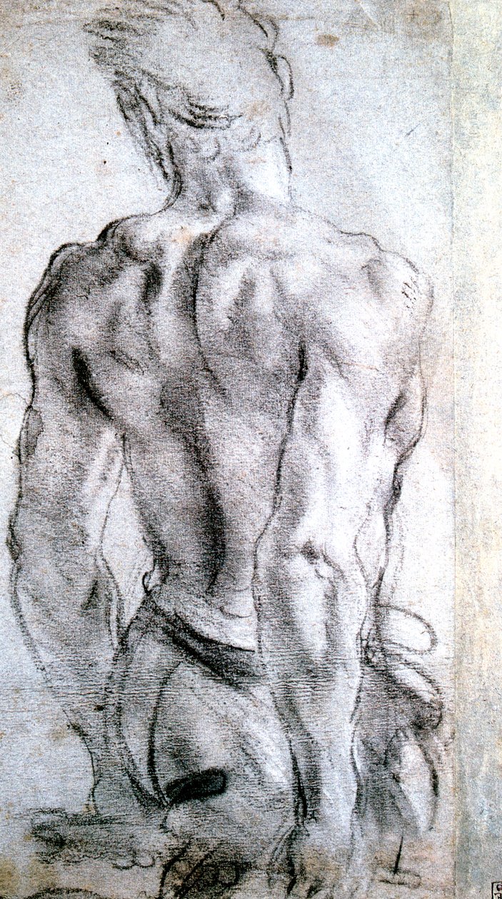 Bir Şekil Çalışması, c1560-1609 by Lodovico Carracci