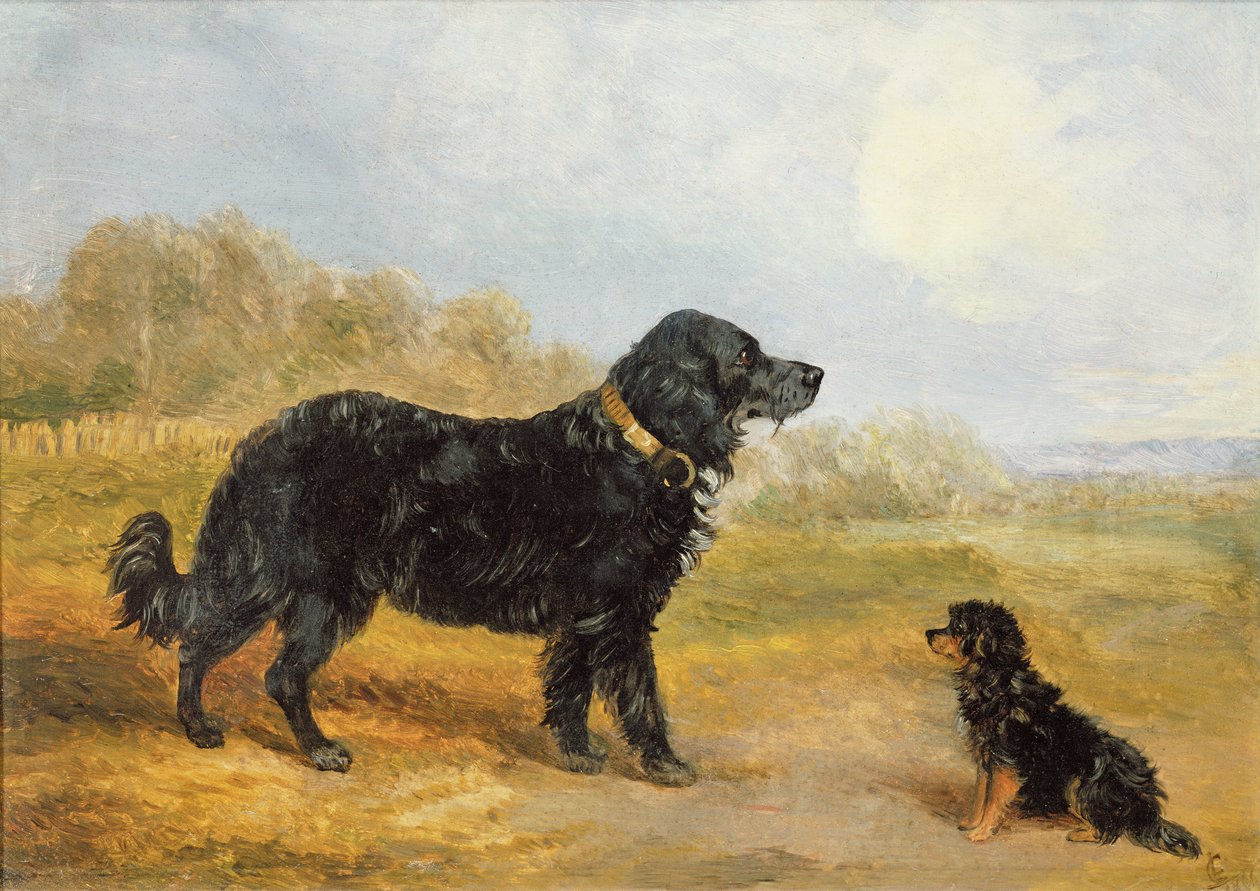 köpekler by Loey Campbell