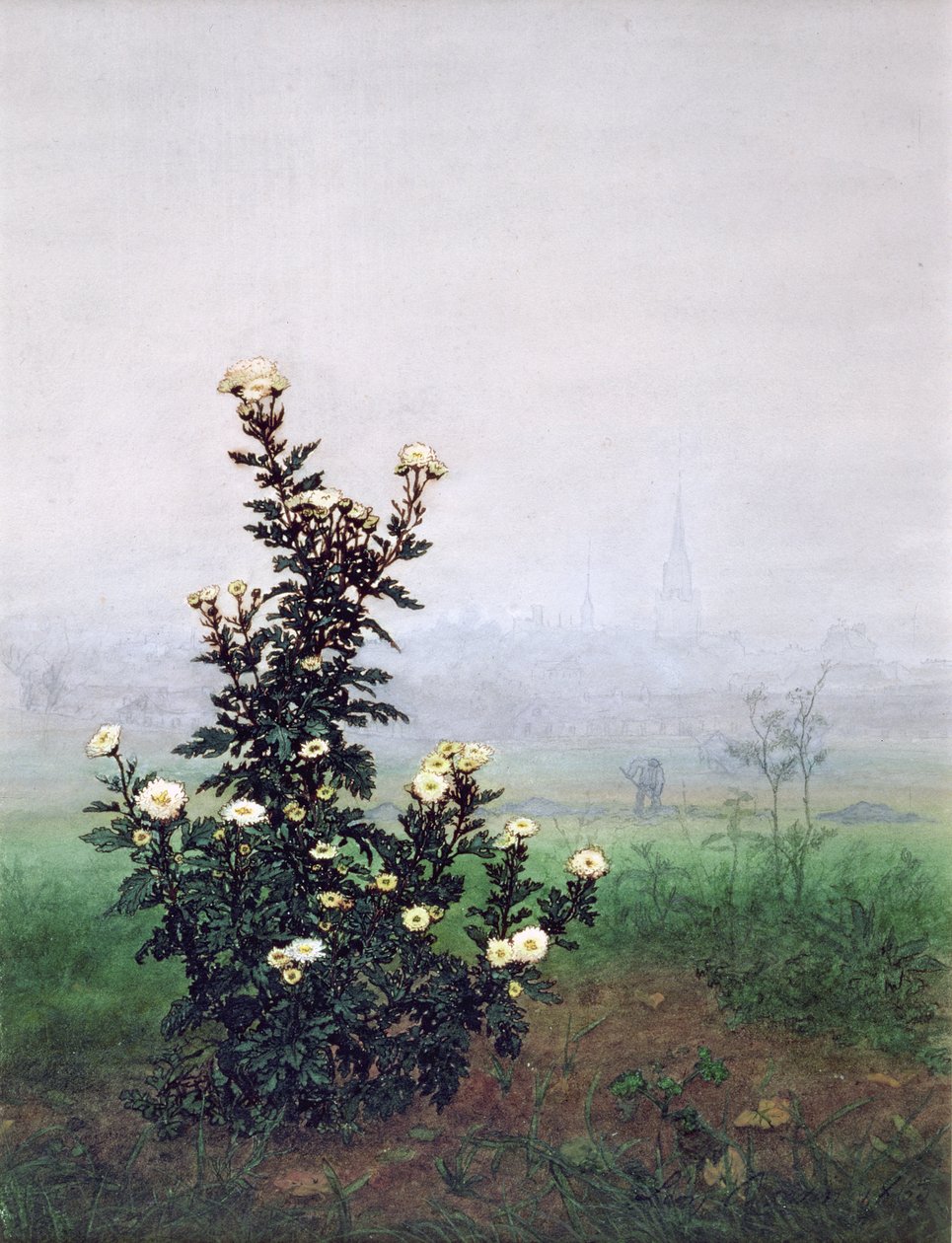 İşçili Çiçekli Krizantem, 1863 (kağıt üzerine wc, guaj, kalem ve mürekkep ve kurşun kalem) by Léon Bonvin