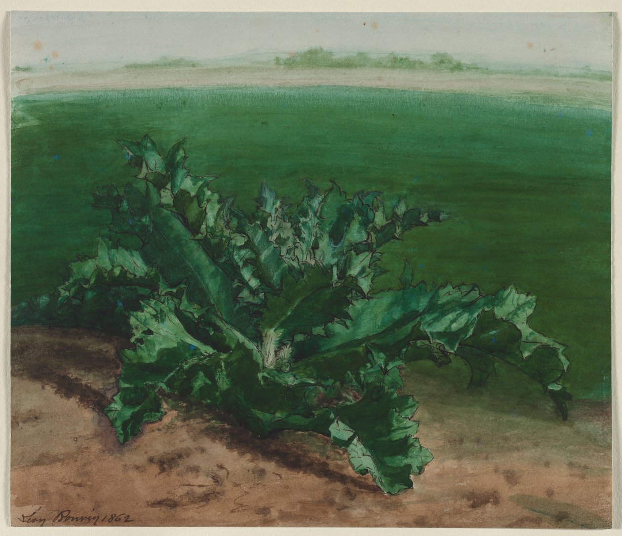 Bir Bitkinin Çalışması, Muhtemelen Devedikeni by Léon Bonvin