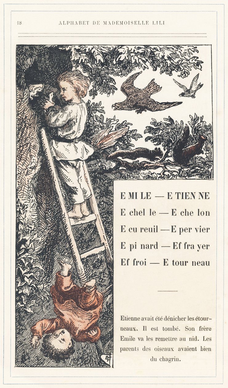  by Lorentz Froelich