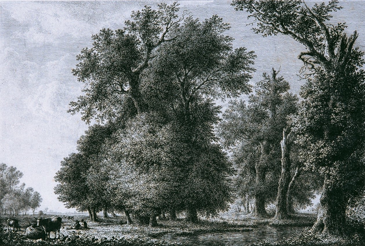 Meşe ile Peyzaj by Lorenz Adolf Schönberger