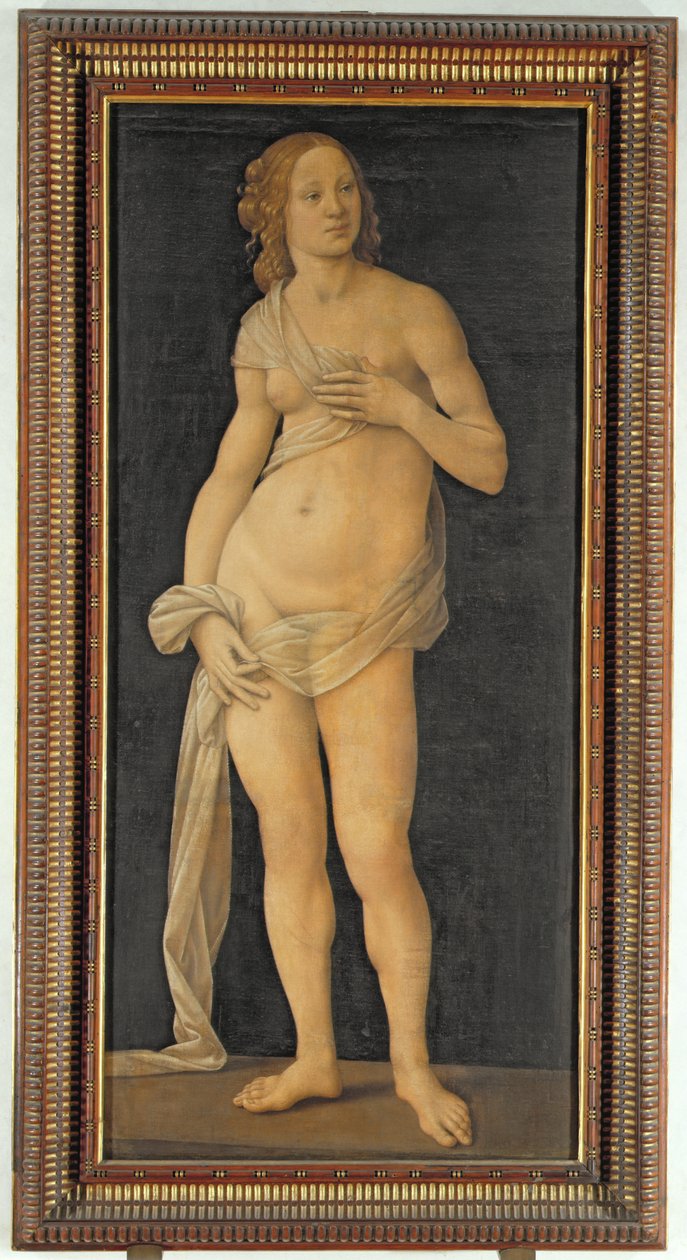 Venüs by Lorenzo di Credi